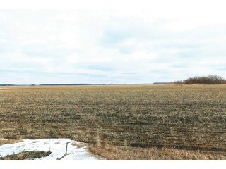 Property photo 13 - LAND AUCTION - 228+/- ACRES OFFERED IN 2 TRACTS IN JASPER COUNTY, INDIANA